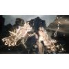 imageFinal Fantasy XVI  Complete Edition  Xbox Series XS ampamp Windows Digital CodeXbox Series XS  Windows